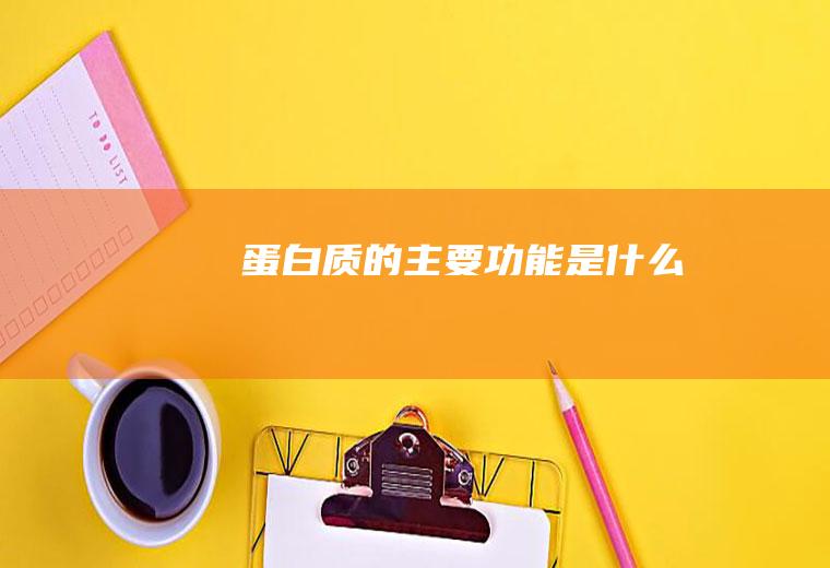 蛋白质的主要功能是什么