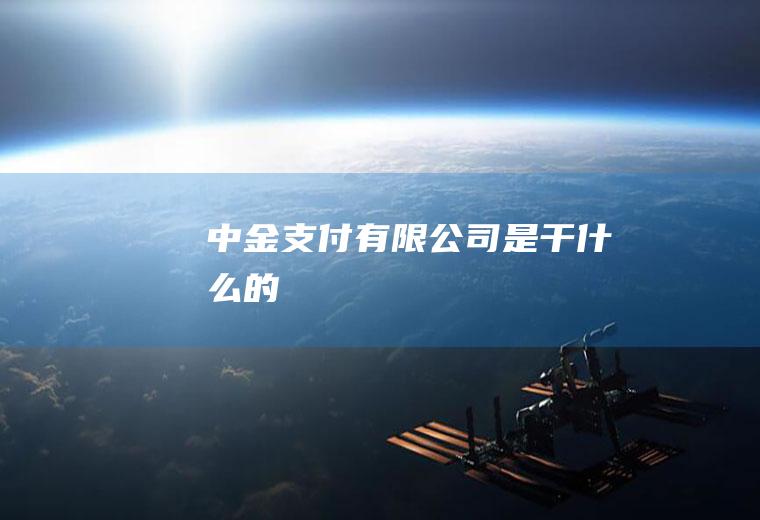 中金支付有限公司是干什么的