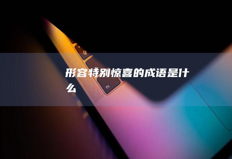 形容特别惊喜的成语是什么