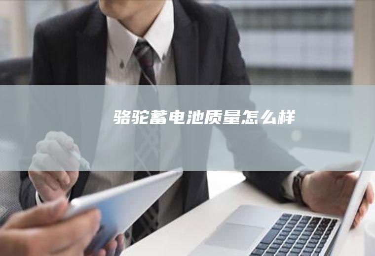 骆驼蓄电池质量怎么样