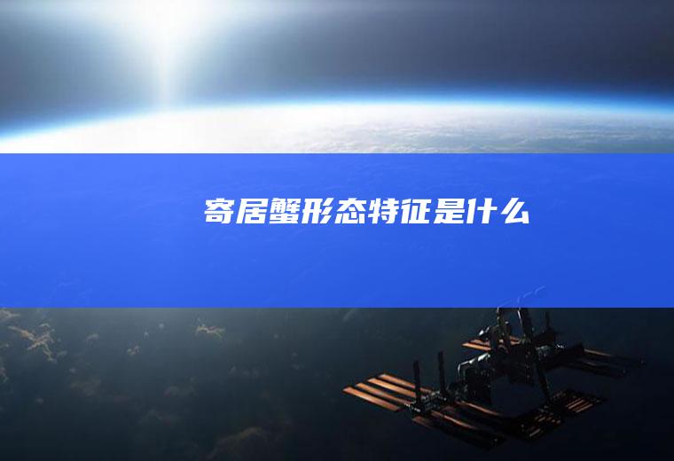 寄居蟹形态特征是什么
