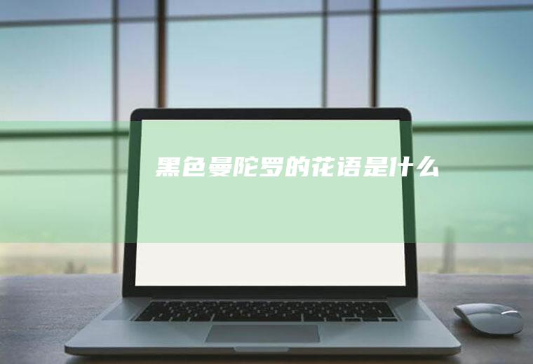 黑色曼陀罗的花语是什么