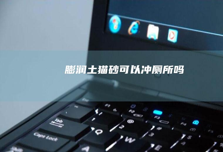 膨润土猫砂可以冲厕所吗