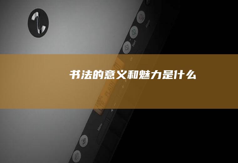 书法的意义和魅力