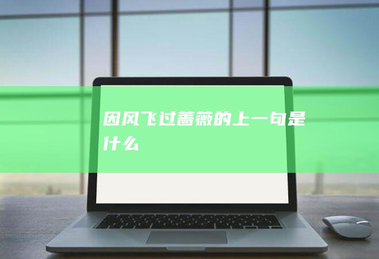 因风飞过蔷薇的上一句是什么