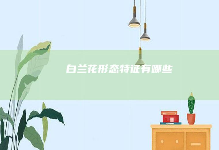 白兰花形态特征有哪些