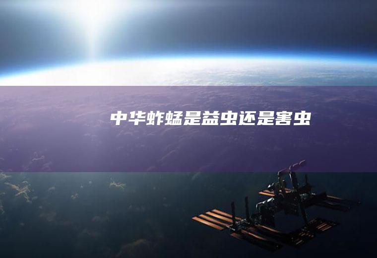 中华蚱蜢是益虫还是害虫