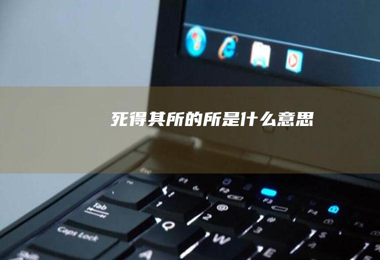 死得其所的所是什么意思