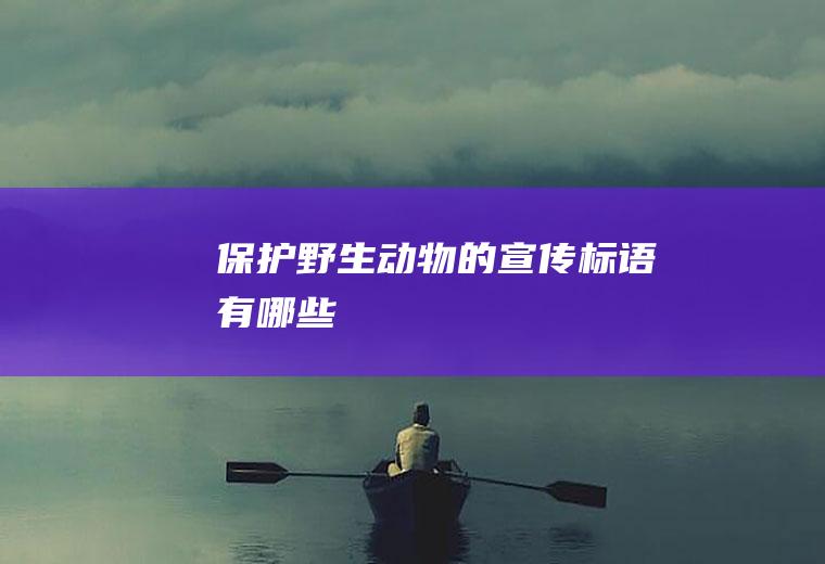 保护野生动物的宣传标语有哪些