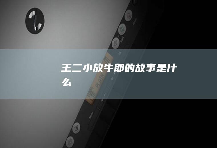 王二小放牛郎的故事是什么