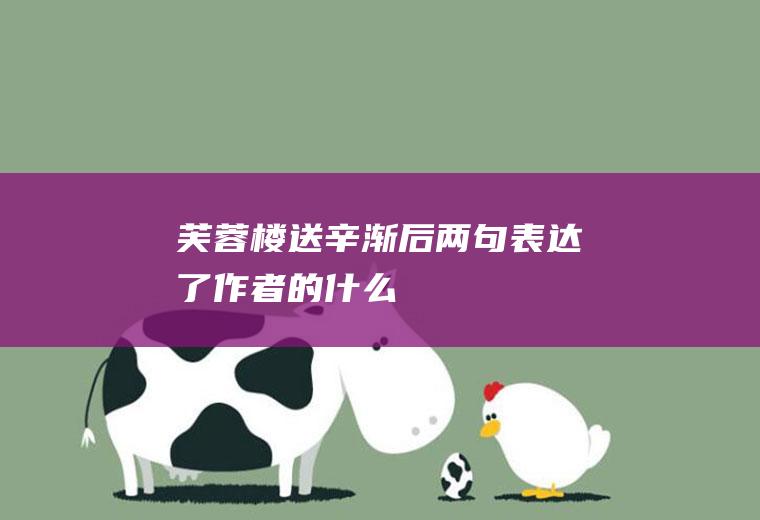 《芙蓉楼送辛渐》后两句表达了作者的什么