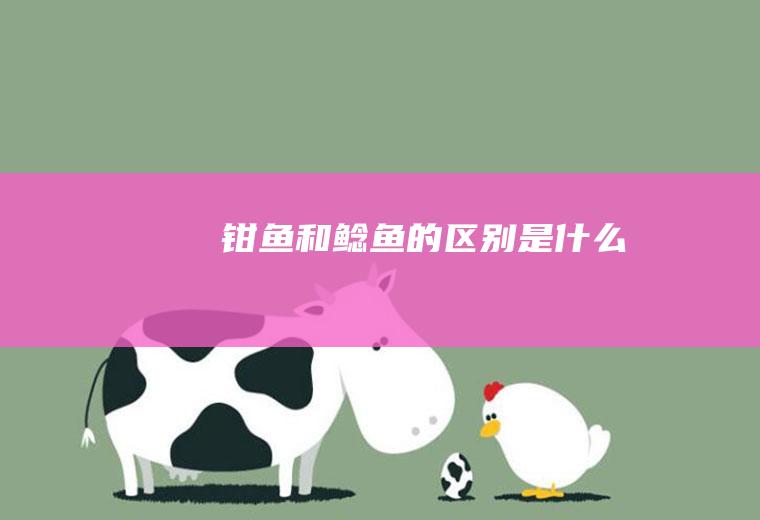 钳鱼和鲶鱼的区别是什么
