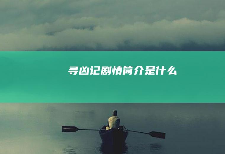 《寻凶记》剧情简介是什么