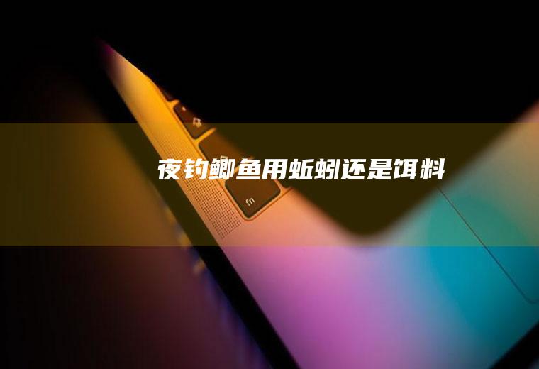 夜钓鲫鱼用蚯蚓还是饵料