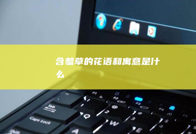 含羞草的花语和寓意是什么