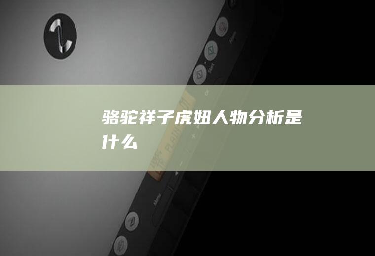骆驼虎妞人物分析是什么