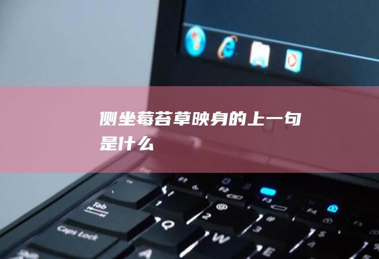 侧坐莓苔草映身的上一句是什么