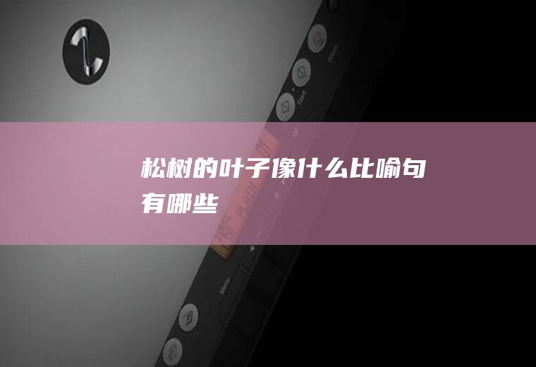 松树的叶子像什么比喻句有哪些