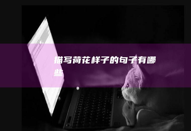 描写荷花样子的句子有哪些