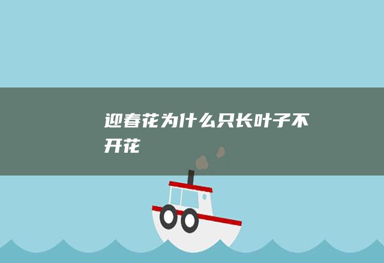 迎春花为什么只长叶子不开花