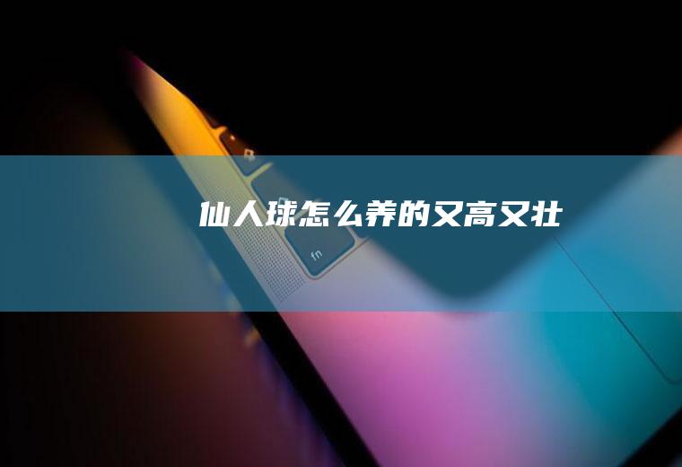 仙人球怎么养的又高又壮