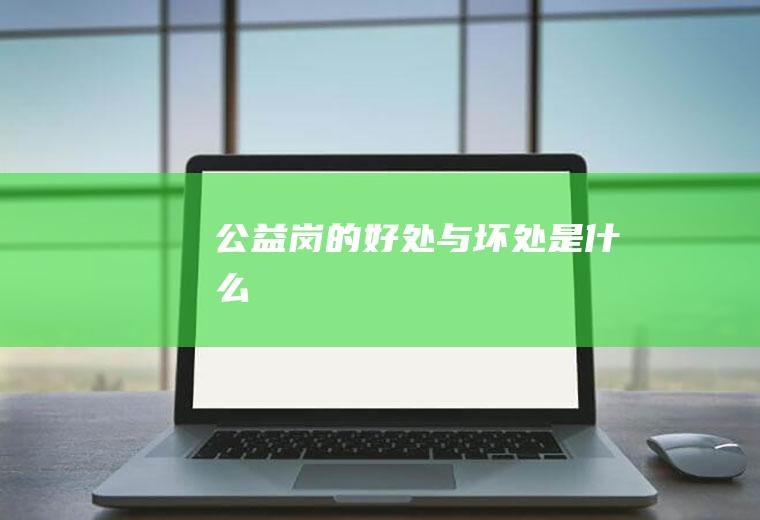 公益岗的好处与坏处是什么
