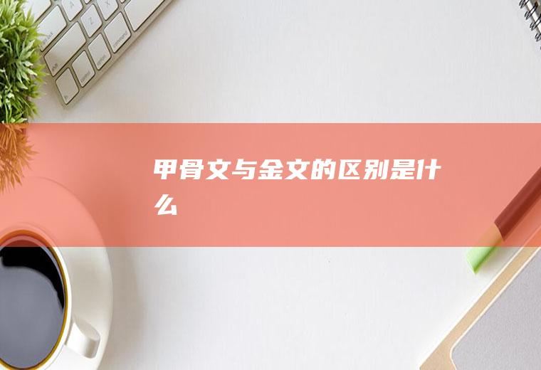 甲骨文与金文的区别是什么