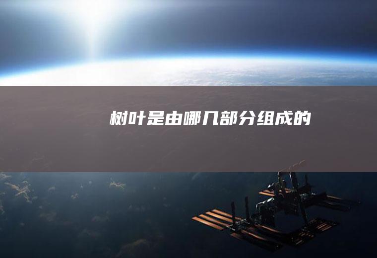 树叶是由哪几部分组成的