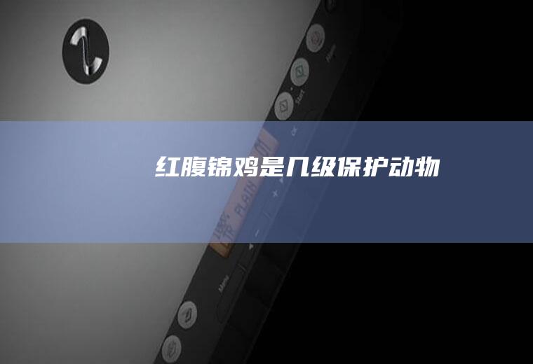 红腹锦鸡是几级保护动物