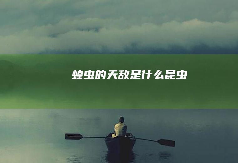 蝗虫的天敌是什么昆虫