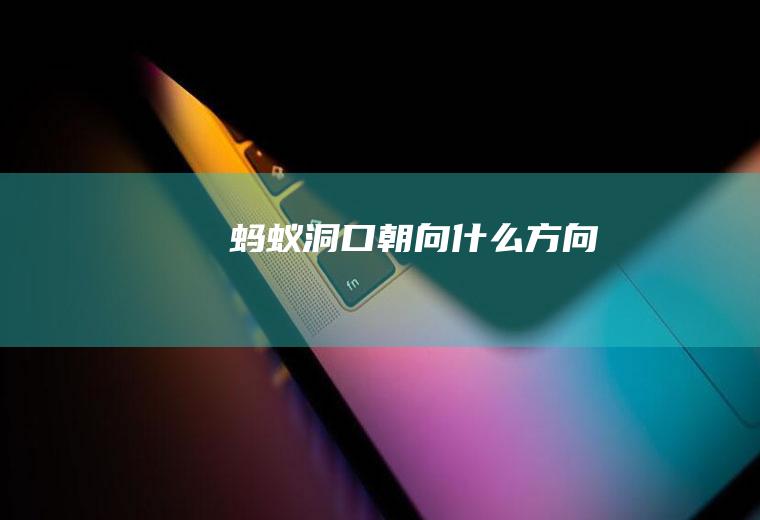 蚂蚁洞口朝向什么方向