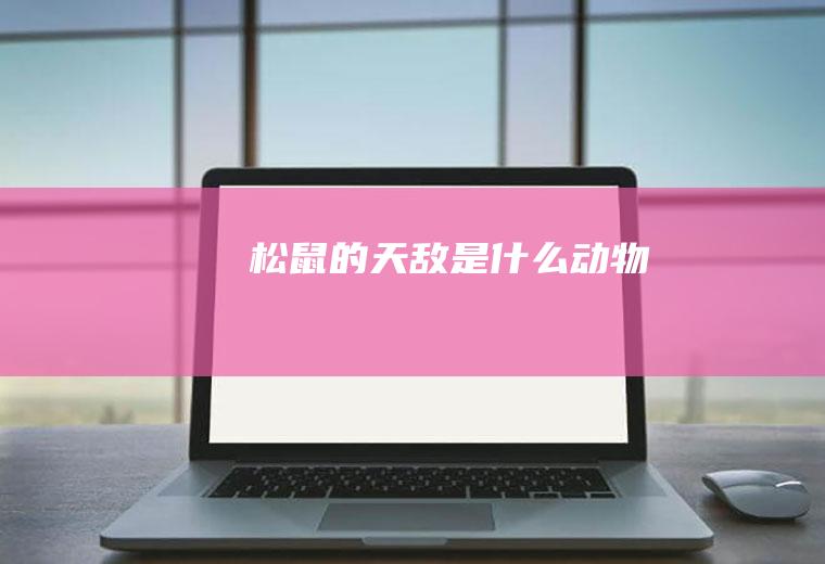 松鼠的天敌是什么动物