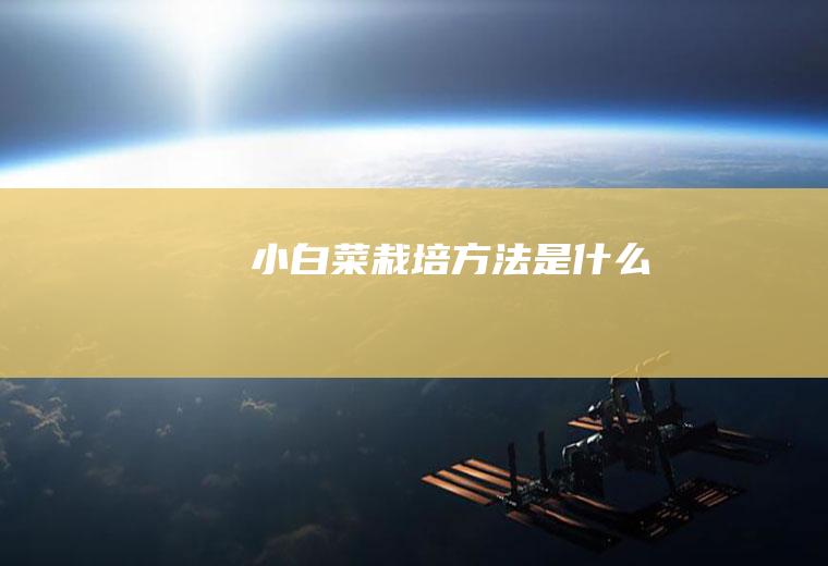 小白菜栽培方法是什么