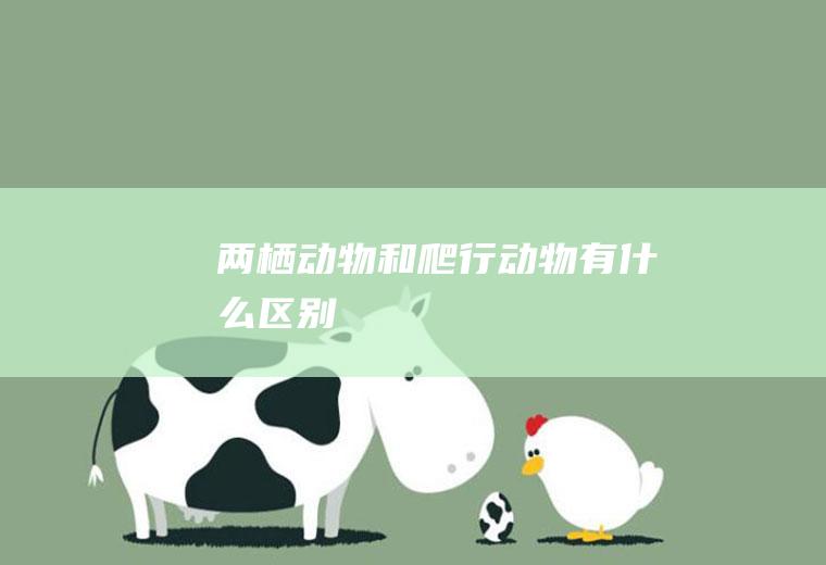 两栖动物和爬行动物有什么区别