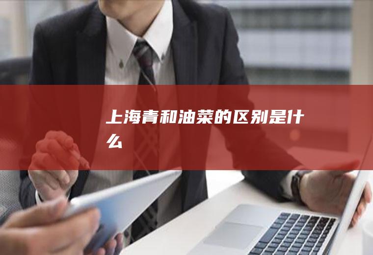 上海青和油菜的区别是什么