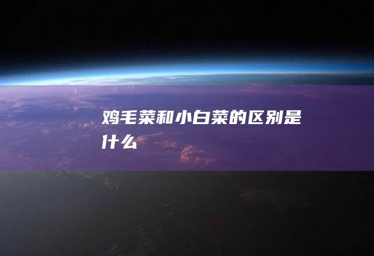 鸡毛菜和小白菜的区别是什么