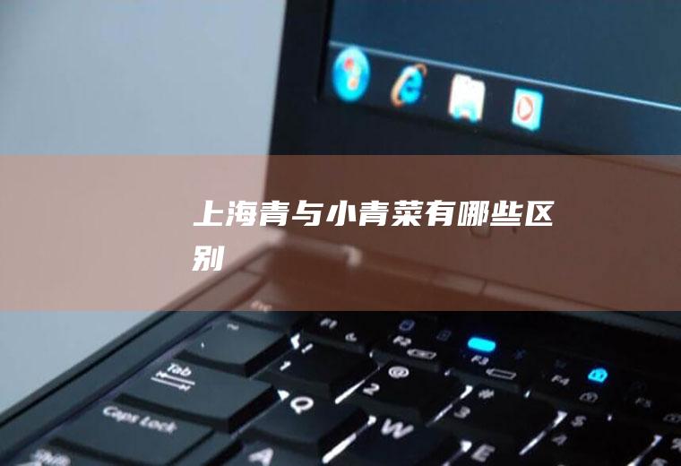 上海青与小青菜有哪些区别