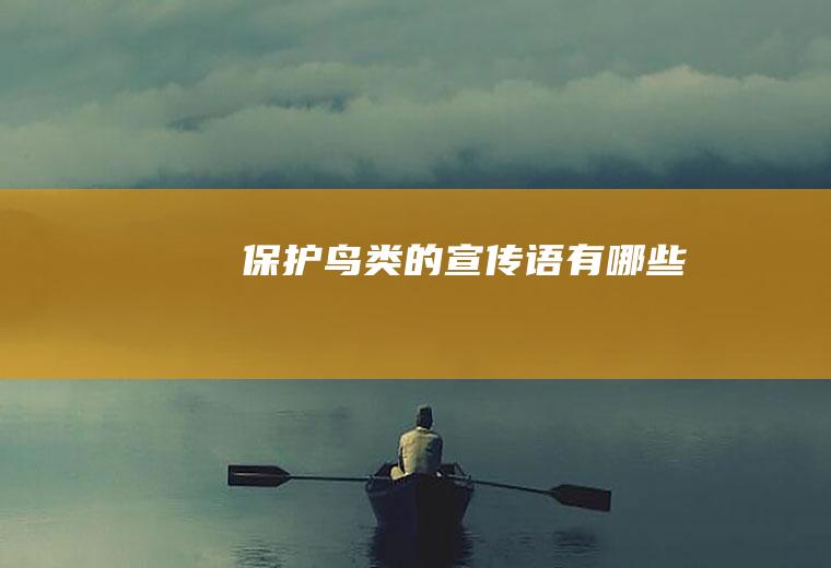 保护鸟类的宣传语有哪些