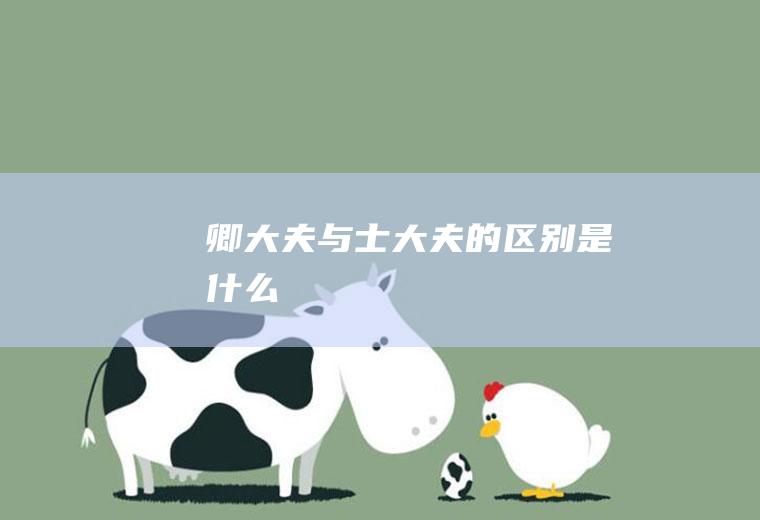 卿大夫与士大夫的区别是什么