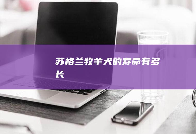 牧羊犬的寿命有多长