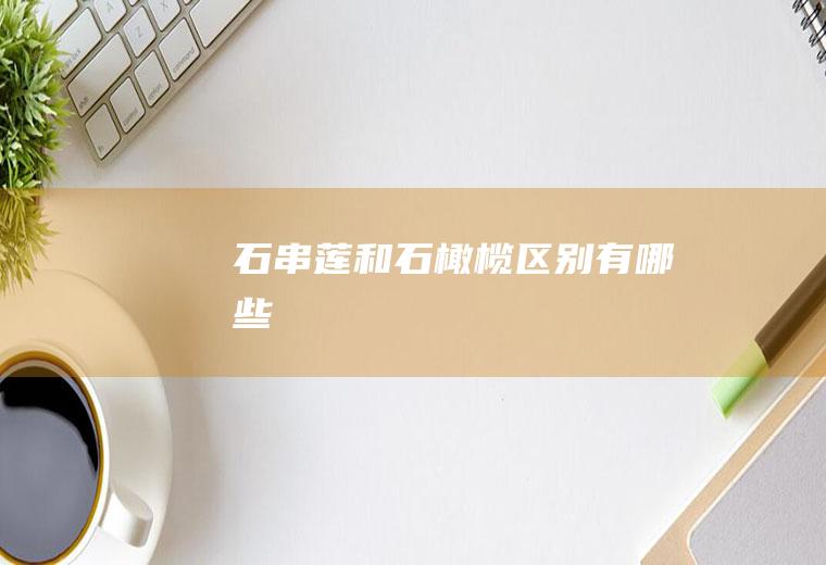 石串莲和石橄榄区别有哪些