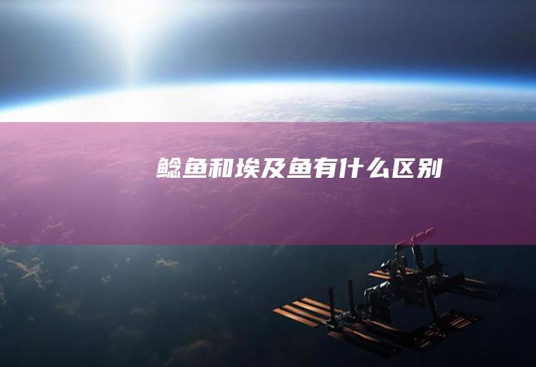 鲶鱼和埃及鱼有什么区别