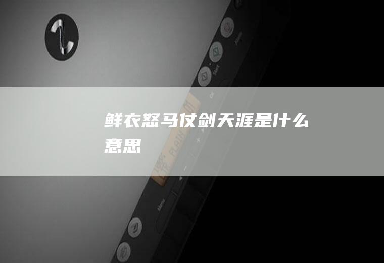 鲜衣怒马仗剑天涯是什么意思