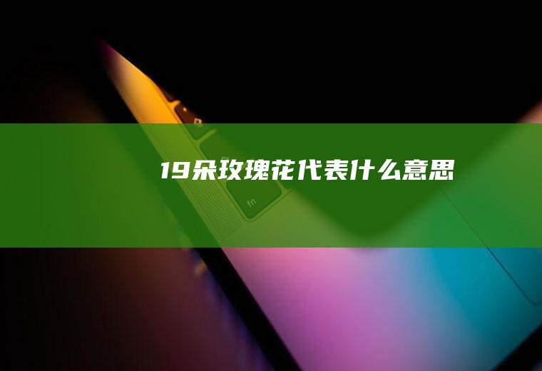 19朵玫瑰花代表什么意思