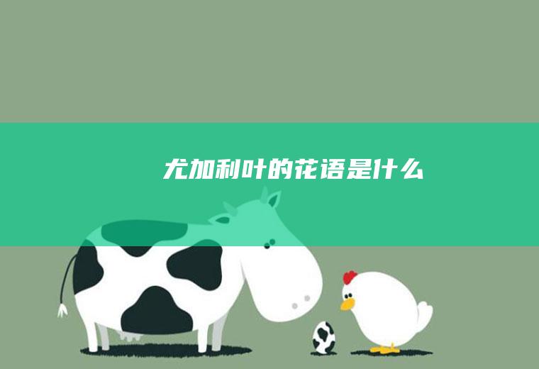 尤加利叶的花语是什么