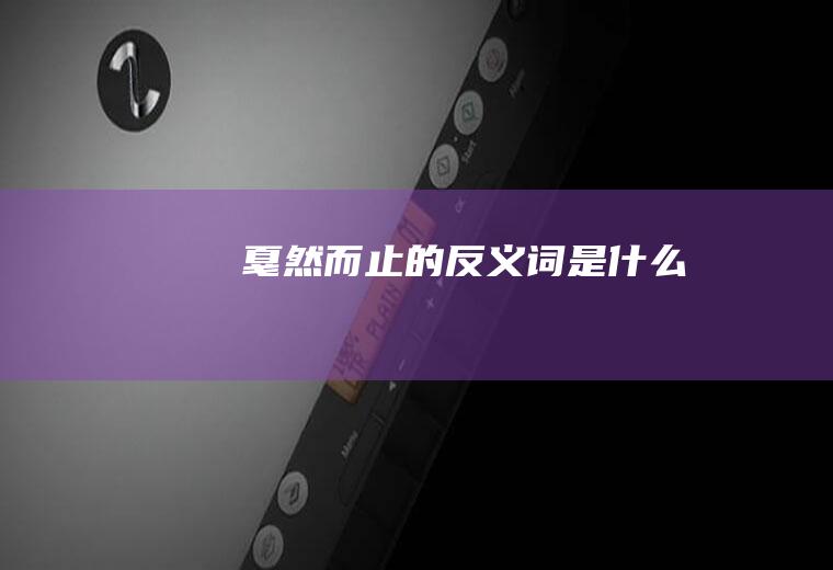 而止的是什么