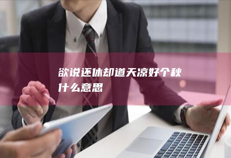 欲说还休却道天凉好个秋什么意思