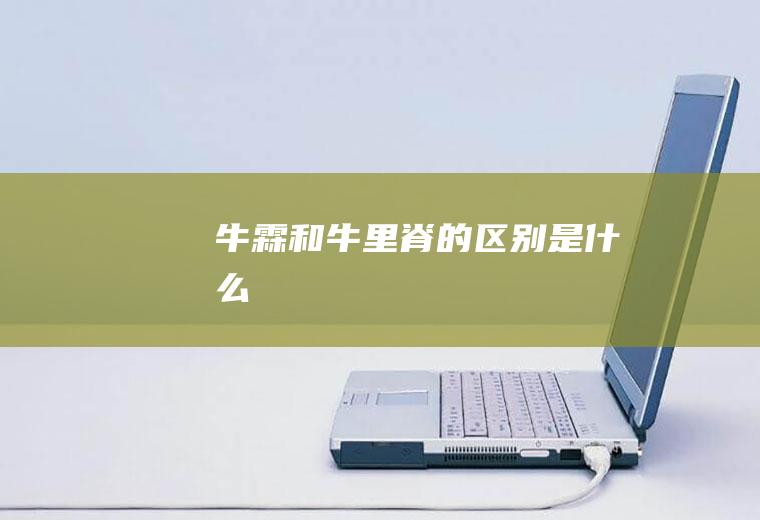 牛霖和牛里脊的区别是什么