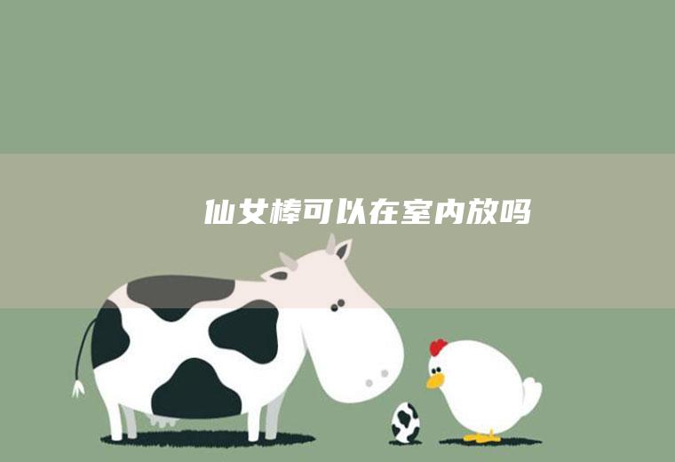 仙女棒可以在室内放吗