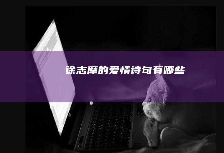 徐志摩的爱情诗句有哪些